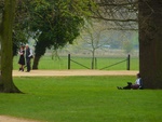 Merton Field